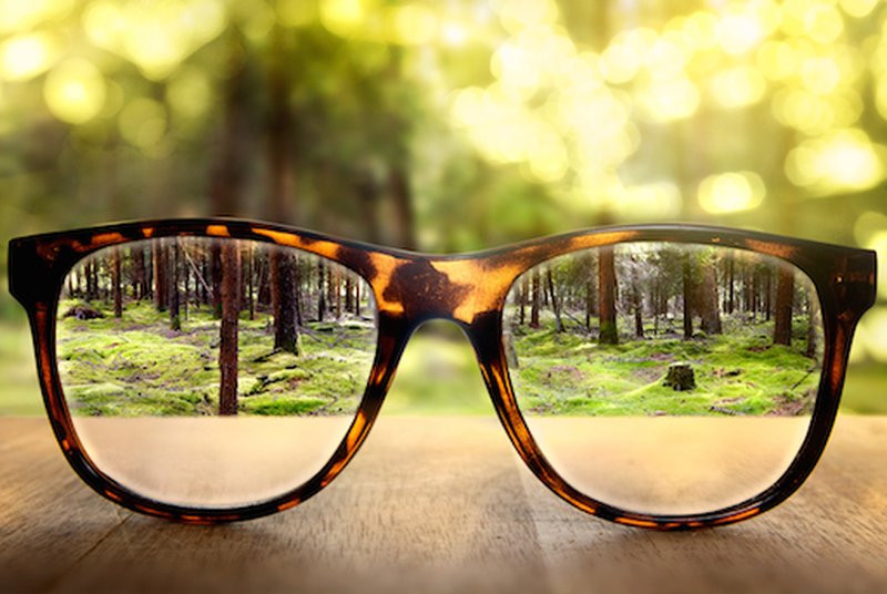 5 Foods To Improve Eye Sight