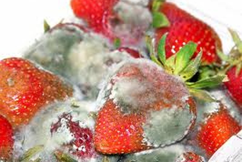 The 7 Nastiest Things Lurking In Your Supermarket
