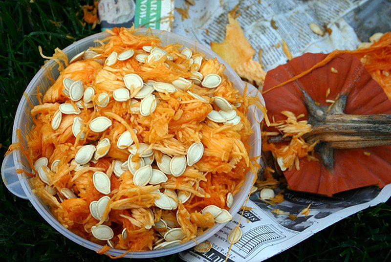 Carving Pumpkins? Keep The Seeds! (9 Amazing Health Benefits)