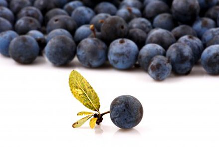 10 Powerful Anti-Aging Foods You Can Find At Your Grocery Store