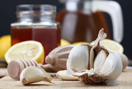 5 Natural Antibiotics To Fight Illness & Promote Health 