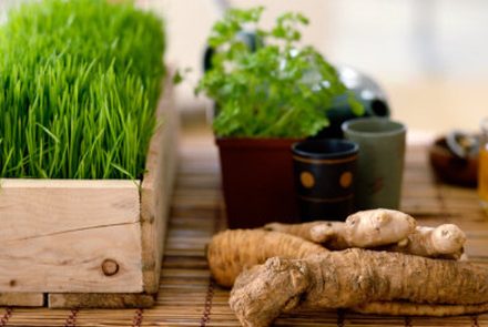 5 Detox Tips To Get Your Energy Back