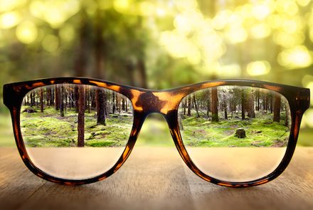 5 Foods To Improve Eye Sight