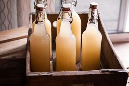 Kombucha: Discover The Secrets Of This Wonder Tea