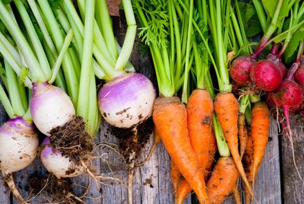 Top 6 Alkaline Foods To Eat Every Day For Vibrant Health